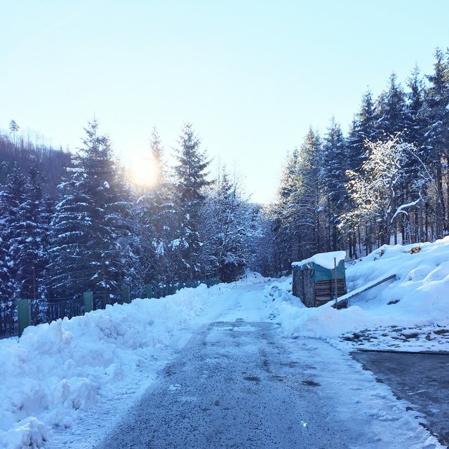 Schneelandschaft - mein schönster Wintermoment!