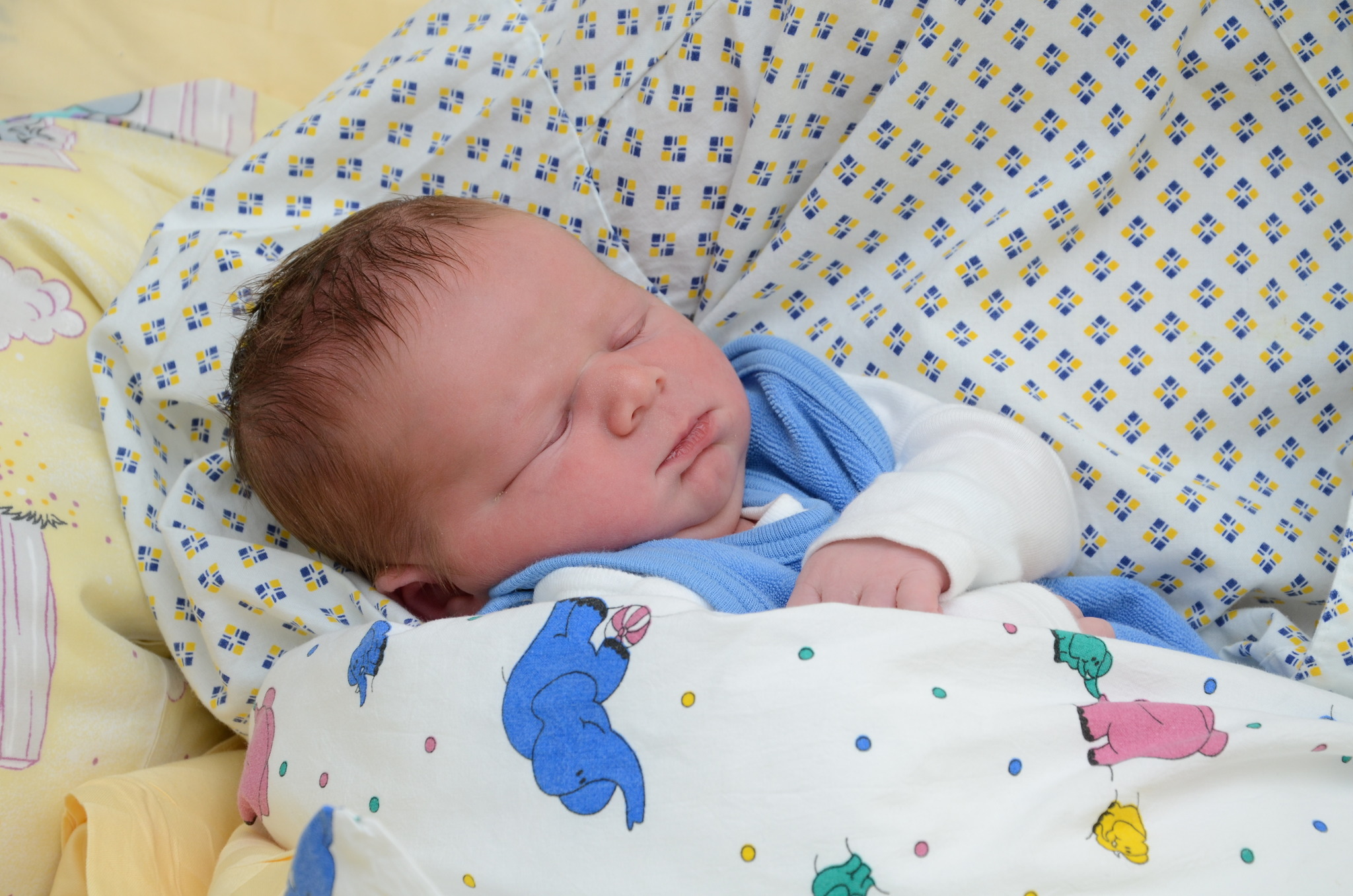Tulln 1 000 Baby Erblickt Licht Der Welt Tulln