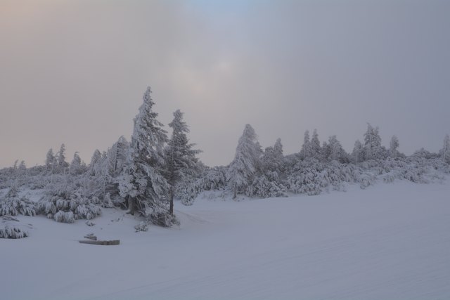 In den frühen Morgenstunden kann man am Hochkar schon die unberührten Pisten genießen.