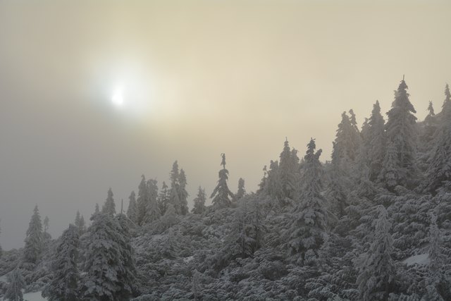 In den frühen Morgenstunden kann man am Hochkar schon die unberührten Pisten genießen.