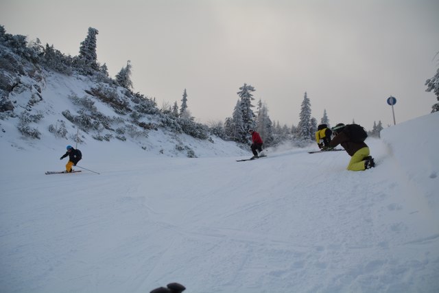 Mit einem Ski-Guide geht's die unberührte Piste hinab.