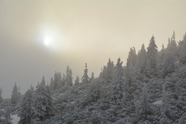 In den frühen Morgenstunden kann man am Hochkar schon die unberührten Pisten genießen.