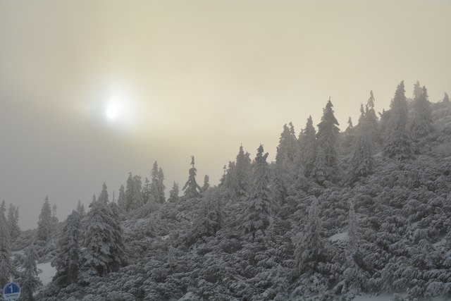 In den frühen Morgenstunden kann man am Hochkar schon die unberührten Pisten genießen.