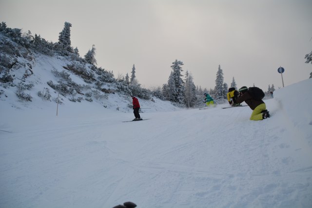 Mit einem Ski-Guide geht's die unberührte Piste hinab.