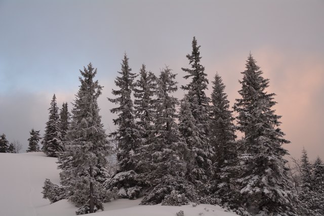 In den frühen Morgenstunden kann man am Hochkar schon die unberührten Pisten genießen.