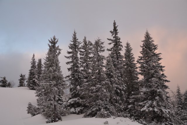 In den frühen Morgenstunden kann man am Hochkar schon die unberührten Pisten genießen.