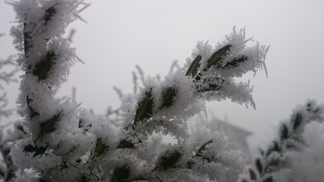 „Ein Wort, das von Herzen kommt, macht dich drei Winter warm!" - Aus China - Einen angenehmen Winterbeginn! Ivica