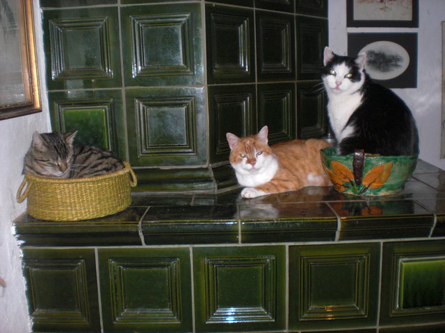 Es geht doch nichts über einen Platz am Kachelofen!