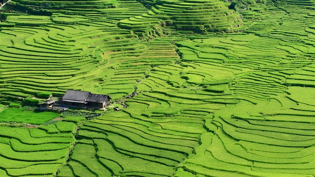 Foto: shutterstock Jakkrit Panalee