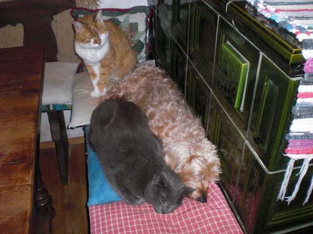 Immer schön zusammenrücken