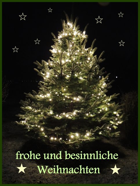 wichtig ist, die Zeit zu genießen mit den Menschen die man liebt - in diesem Sinne ein schönes und besinnliches Weihnachtsfest mit euren Lieben