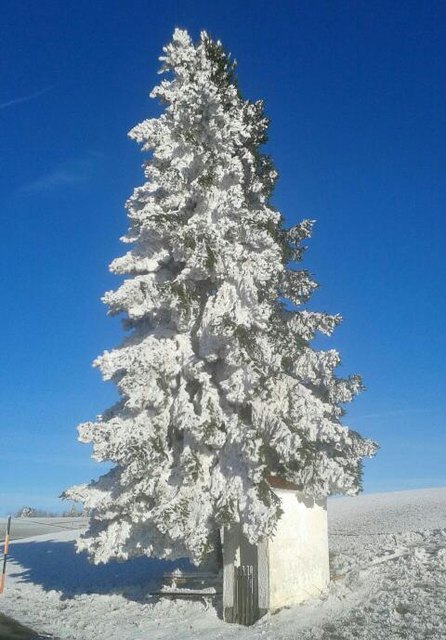 Winter in der steiermark