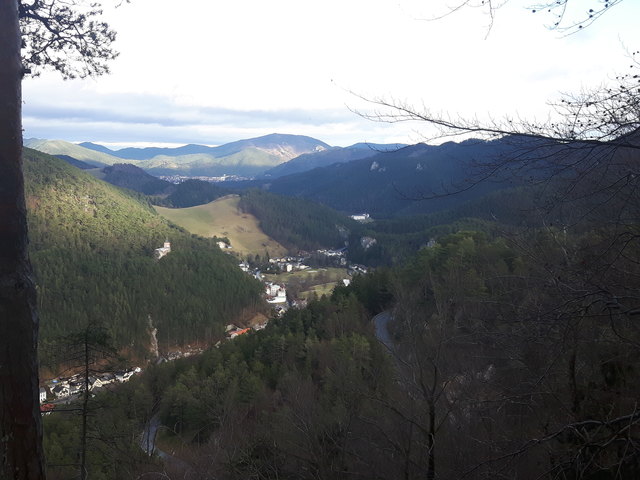 Blick auf Gutenstein vom