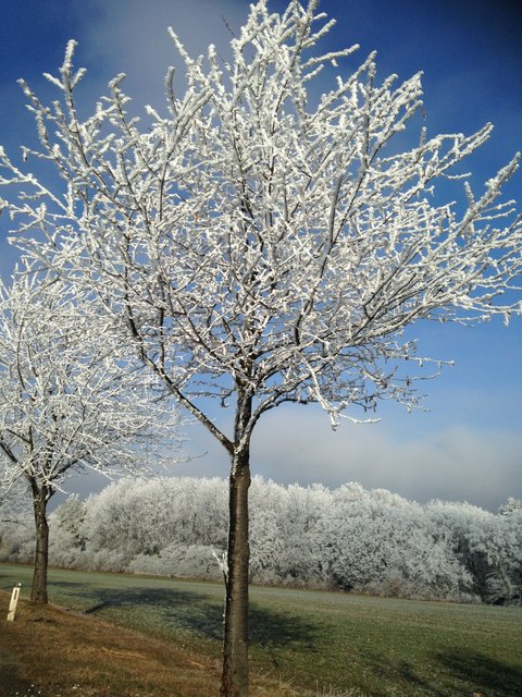 Bei diesen Temperaturen kuschelt man gerne!