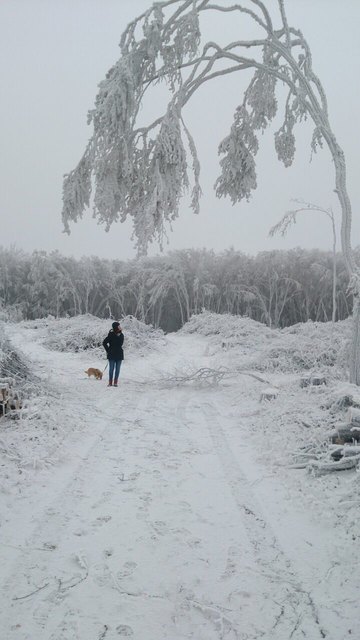 Zuerst ein ausgedehnter Spaziergang im Breitenbrunner Wald, damach ein heißer Tee und ein kuscheliger Bademantel. Perfekt!