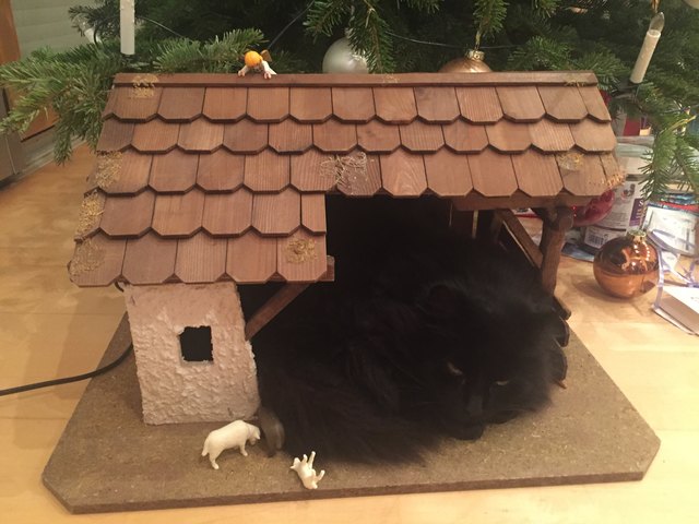 Jedes Jahr - unsere " Lebende Krippe"