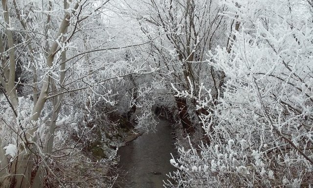 Es muss nicht immer Schnee sein das eine Winterlandschaft Zaubert