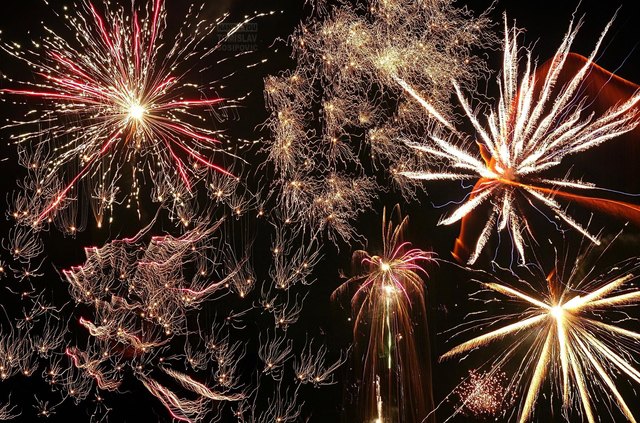 Silvester 2016 - Feuerwerk ist eigentlich etwas schönes. Doch Tiere in der Stadt, Haustiere und Menschen leiden unter dem irren Lärm. Hervorgerufen vor allem durch illegal eingeführte Böller, die extrem laut, aber auch gefährlich sind.