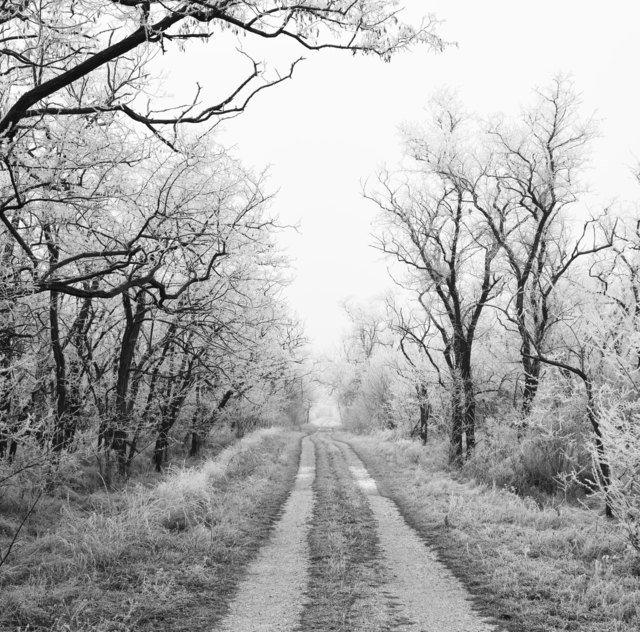 Märchenstimmung im Seewinkel