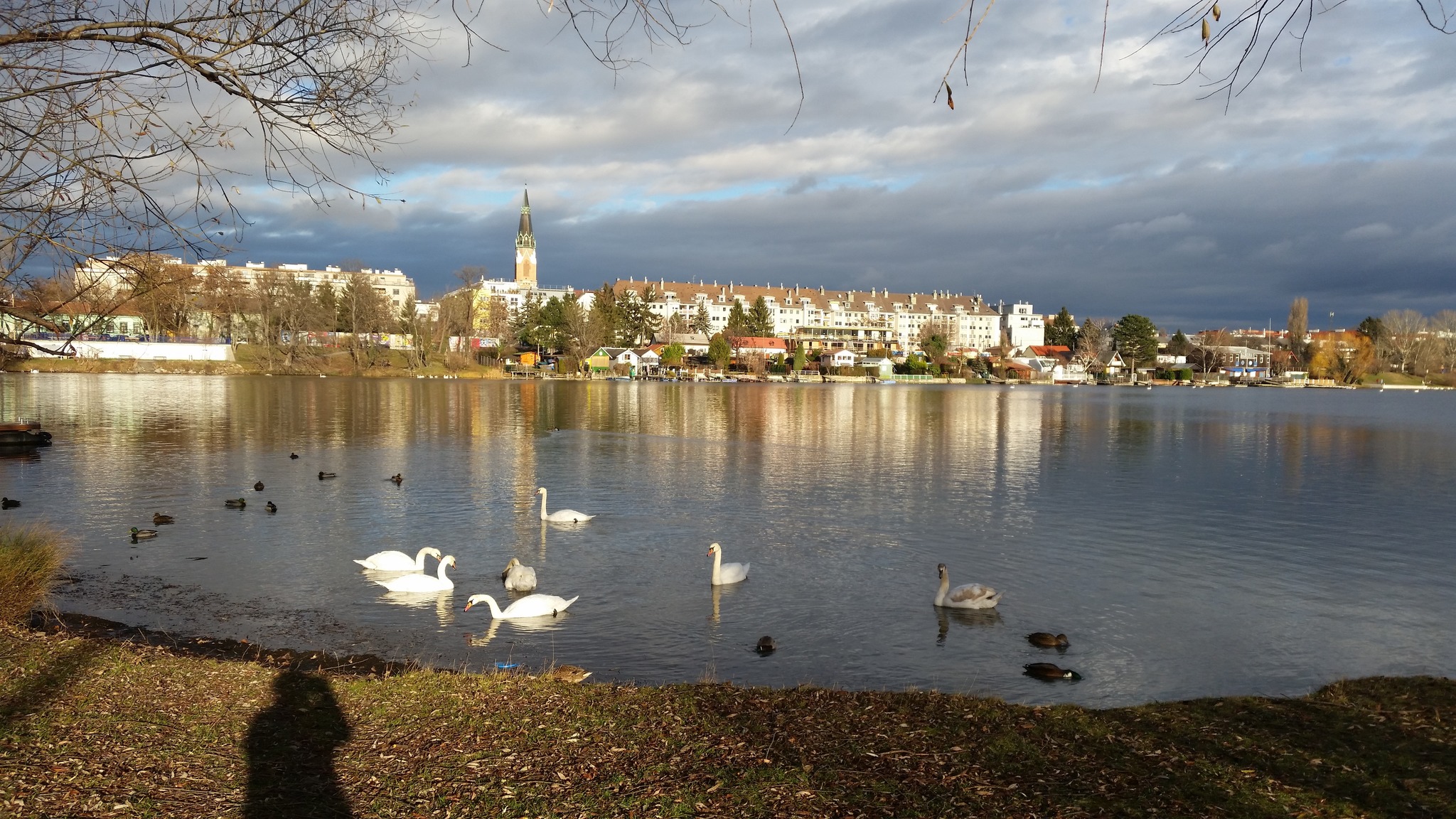 Alte Donau - Feldkirchen