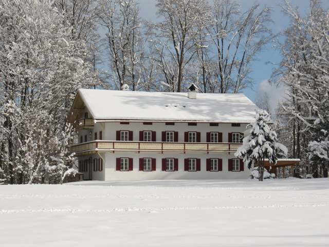 Einfach idyllisch - ein Haus, umgeben von verschneiten Baumwipfeln