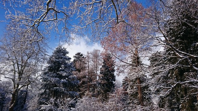 "Januar weiß - Sommer heiß". Alte Bauernregel