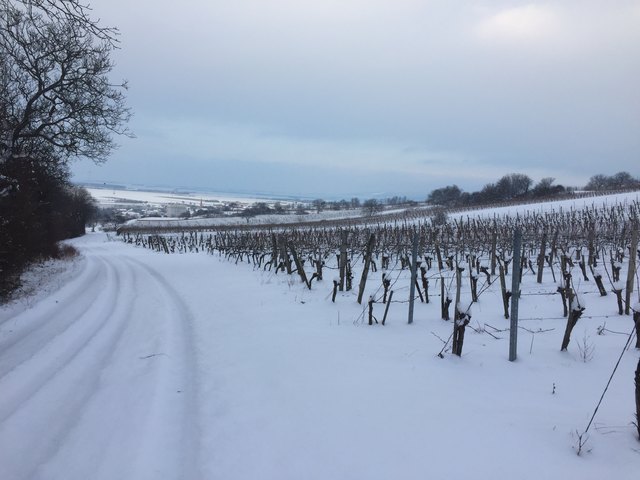 Pöttelsdorf in Sicht und es geht bergab…
