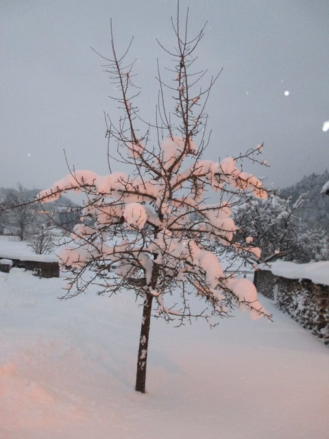 Ich sende euch liebe Schneegrüße nach Graz! :-)