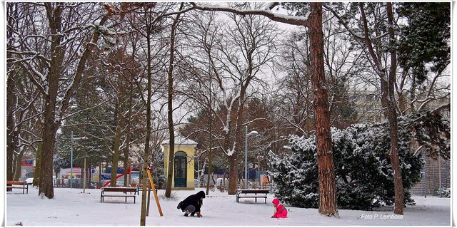 Im Kantnerpark in Ottakring