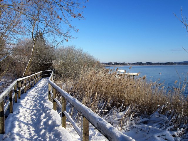 Seeham am Obertrumersee bei -1Grad