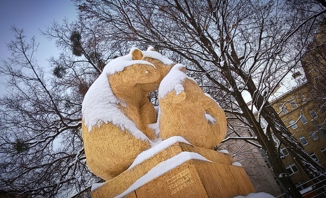 Bären im Schnee - in freier Wildbahn gibt's die in Wien schon lange nicht mehr.
Aber es gibt in Wieden, im Dr. Karl Landsteiner Park, eine Steinskulptur, welche zwei spielende Bären zeigt. Deshalb wird der Park im Volksmund auch liebevoll "Bärlipark" genannt. Ob es sich um ein Denkmal handelt, das an eine Bärenpopulation in dieser Gegend erinnert? Errichtet wurde diese Skulptur (Brunnen) im Jahr 1952 vom Wiener Bildhauer Franz Barwig der Jüngere.