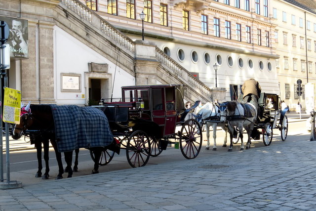 Kürzlich fiel hier der überraschte Ausruf, wie steil doch die Albertina-Rampe scheinbar ist. Hier kann man gut erkennen, dass es sich um eine Treppe mit nicht zu hohem Gefälle handelt