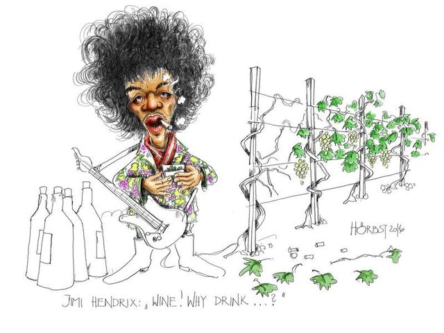 Jimi Hendrix aus der Sicht von Rupert Hörbst.