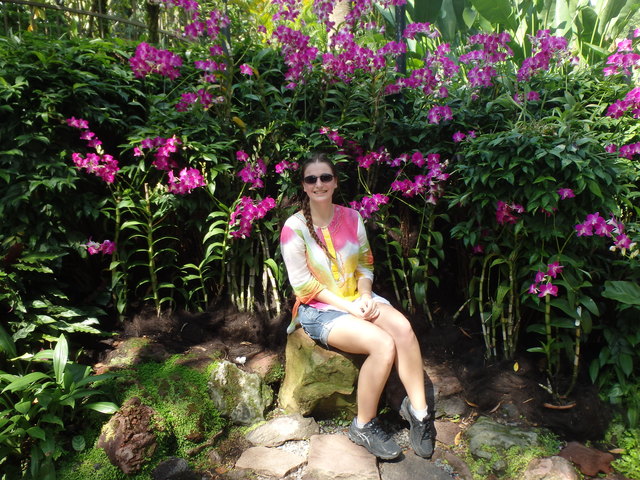 Viola im Orchideen-Garten von Singapur.
