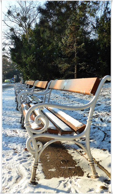 im Türkenschanzpark