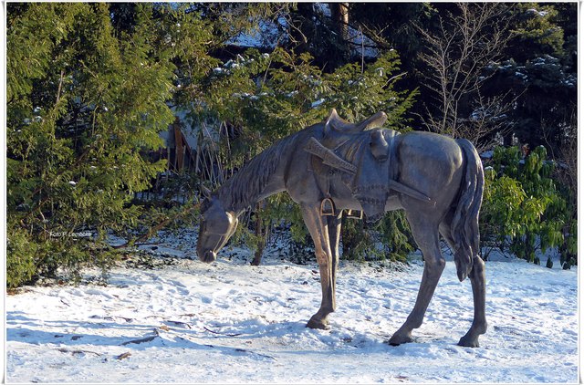Im Türkenschanzpark