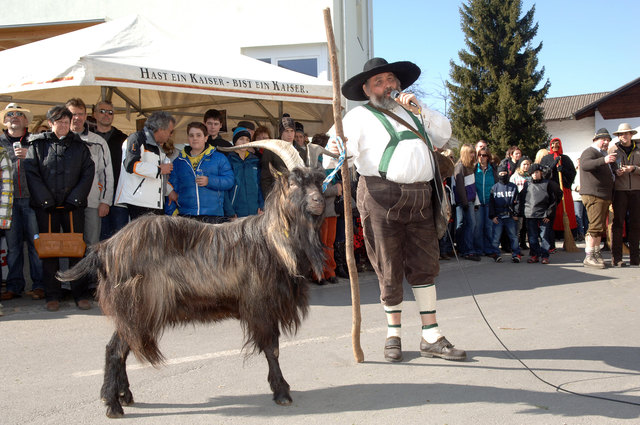 Den originalen "Axamer Bock" gibt nur bei großen Umzügen – die gleichnamige Fasnachtszeitung erscheint aber auch heuer!