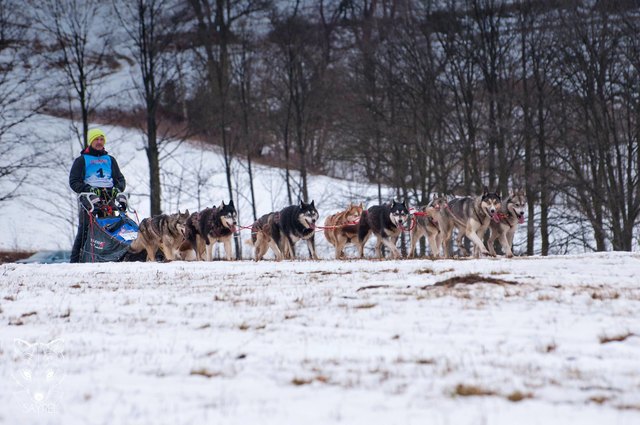 Gerald Schinzel übersiedelte von D. Gerisdorf nach Hammerteich. Trainings, die bis 40 km gehen, hält der 59jährige in D. Gerisdorf ab. | Foto: privat