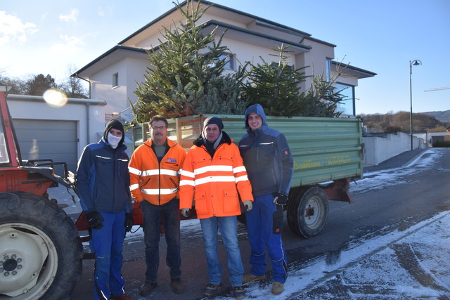 Zahlreiche Helfer unterstützten die Christbaumentsorgung in Marz.