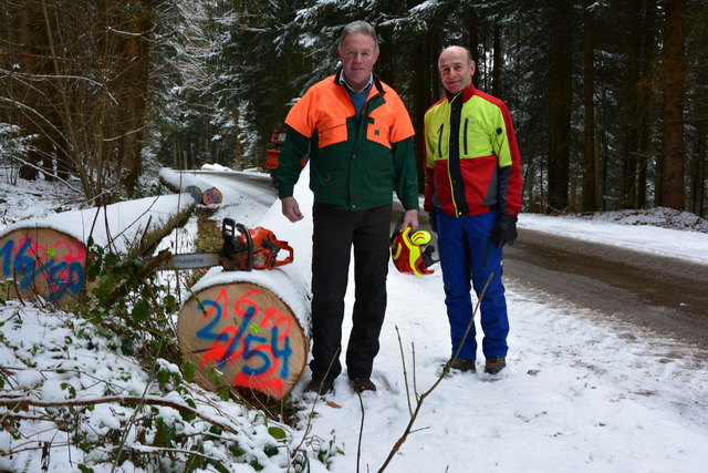Franz Traxinger und Josef Traxinger beim Umschneiden der Bäume.