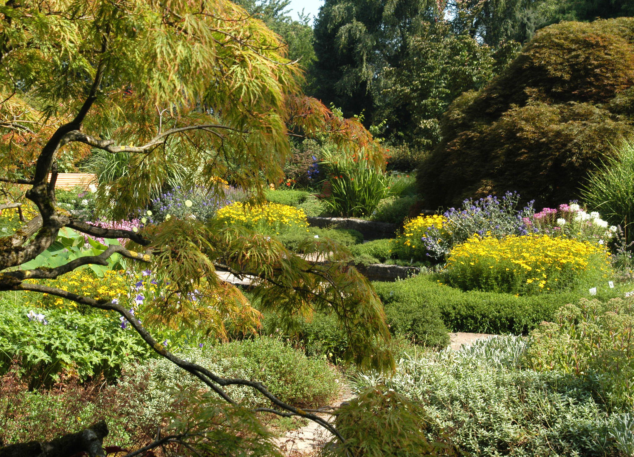 Botanischer Garten freut sich großer Beliebtheit Linz