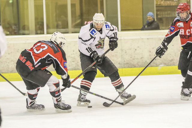 Eishockey. Tarco Woelfe vs HCP Pubersdorf. Michael KRALL, Manuel FERRARA . Sepp Puschnig Halle, Klagenfurt, Kaernten, Austria am 17 January 2017 Foto: Krawagner