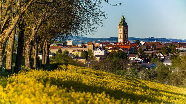 Blick auf Enns vom Eichberg