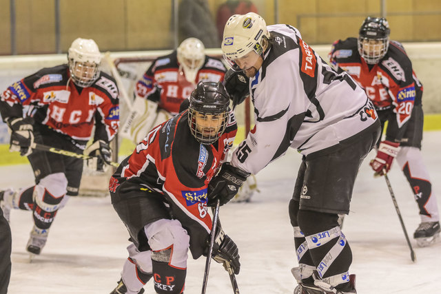 Eishockey. Tarco Woelfe vs HCP Pubersdorf. Olivier REISINGER, Bruno TARMANN . Sepp Puschnig Halle, Klagenfurt, Kaernten, Austria am 17 January 2017 Foto: Krawagner