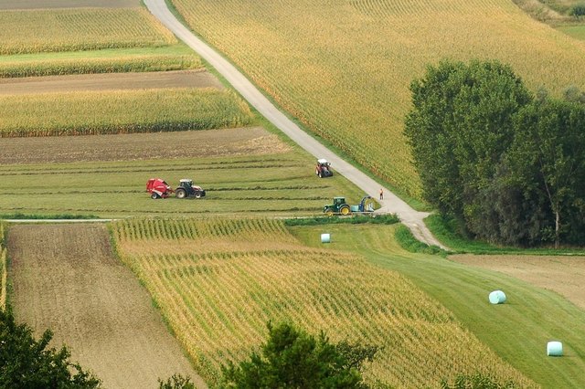 Die Landwirtschaftskammer informiert Neueinsteiger über Steuer- und Sozialrechtsfragen. | Foto: Landwirtschaftskammer