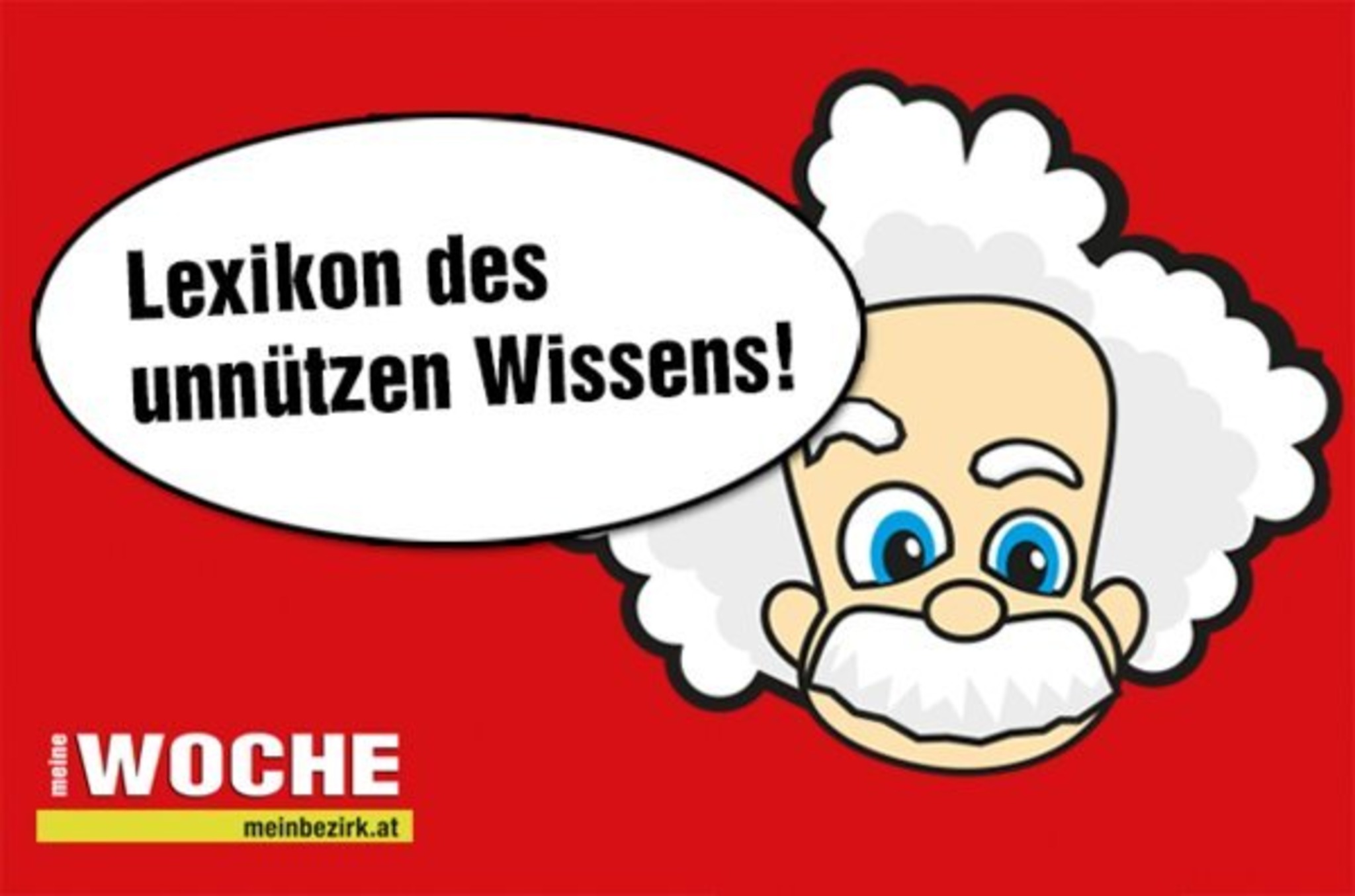 Brosius Gersdorfs Rücktritt Die Heimlichen Hintergründe Die Keiner Kennt - 00gqc43