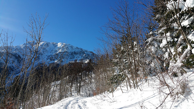 Winterlandschaft, Blick am Schneeberg