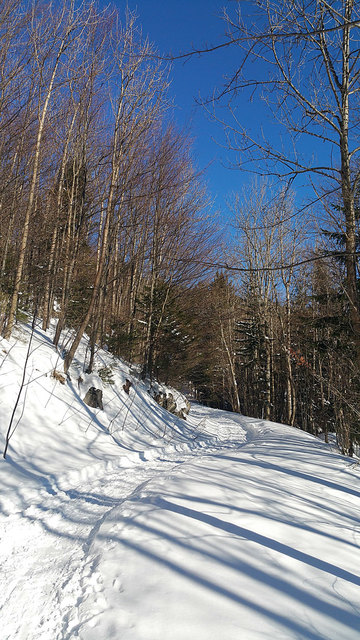 Winterwanderung am Schneeberg