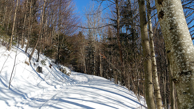 Schneeschuhwandern vor den Toren Wiens