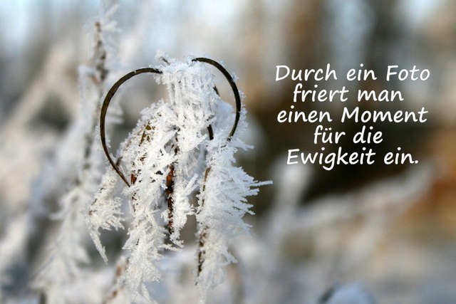 Download Vinter spruch Free HD Vinter Spruch